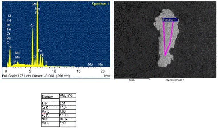 Figure 13. Representative SEM/EDS analysis data from the 19 metal particles recovered from the powder seasoning.