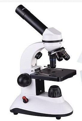 Wolfe Inclined Elementary Microscope Model TT52L 