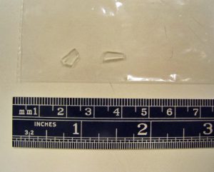 Figure 1. Documentation photograph of the two glass fragments recovered from a bakery product.
