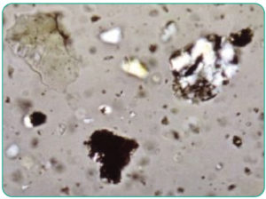 moon dust under a microscope