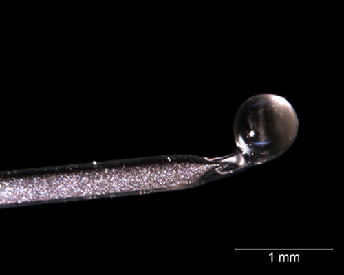 S-glass capillary filled with powder