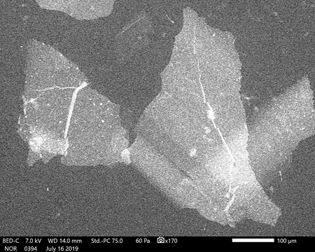SEM image of glass delamination flakes