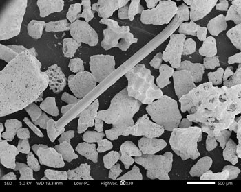 Philippines, electron micrograph, 30X.