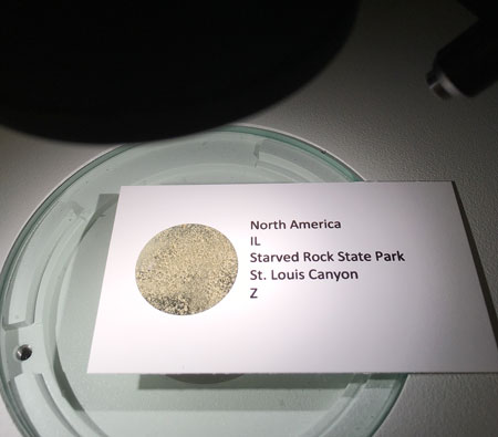 sand sample mounted for microscopy