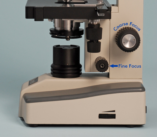focus knobs on Boreal microscope