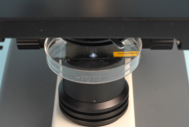 A Petri dish can be used as a compensator