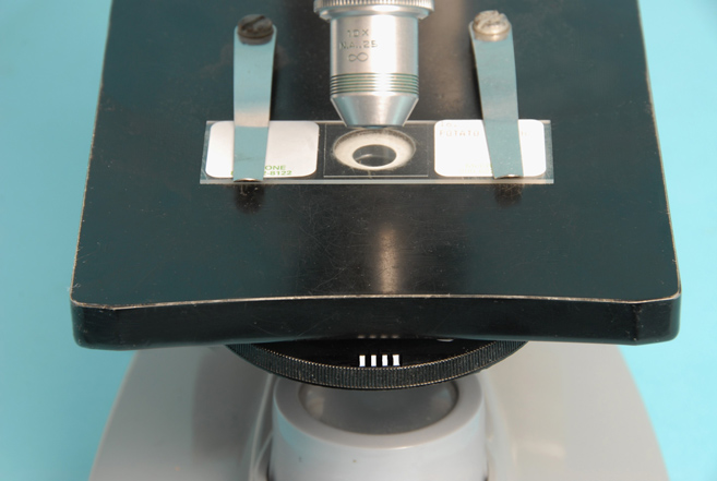 close-up view of the stage of an American Optical Company microscope