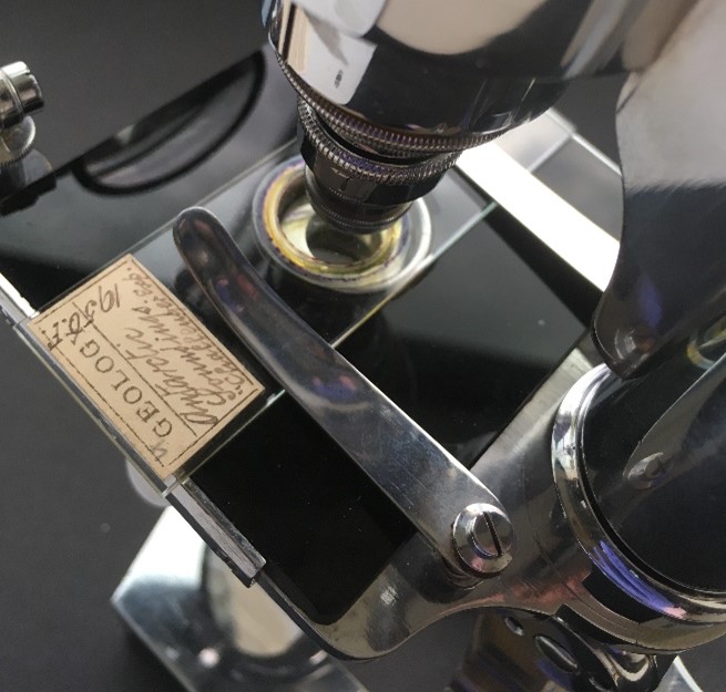 Challenger slide on the Vérick microscope stage