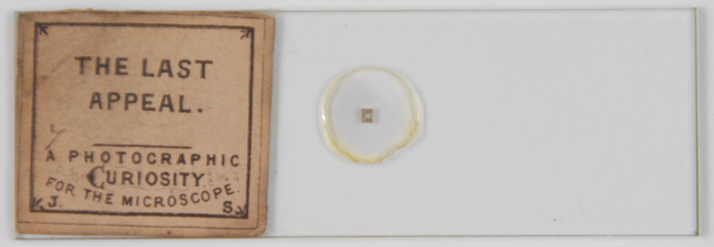Stovin’s microphotograph The Last Appeal, mounted on a 3” x 1” microscope slide.