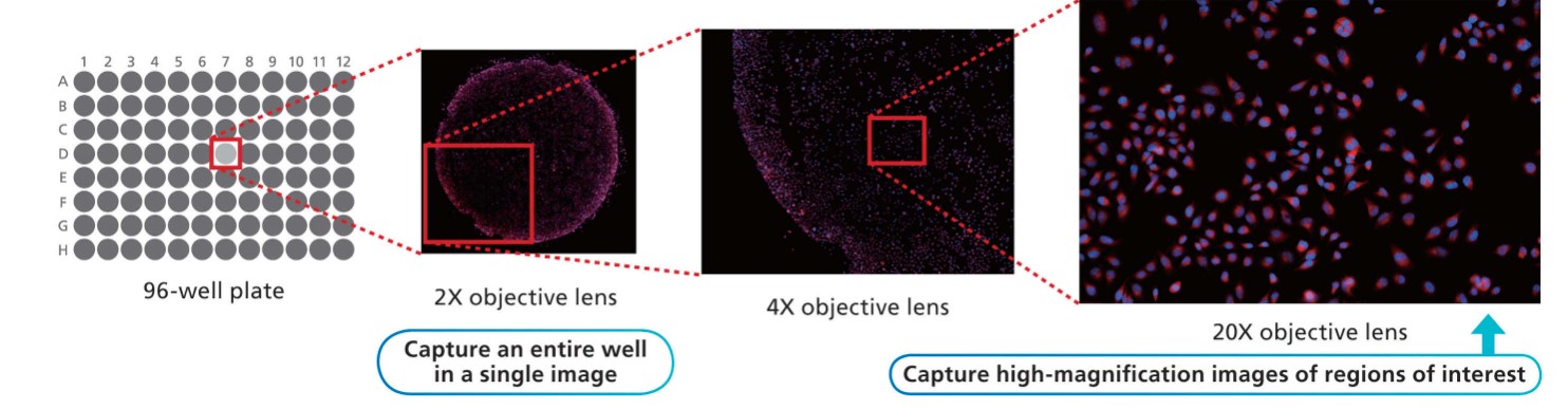 Nikon DS50M microscope camera wide field of view