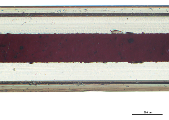 Darker slide side view showing glass bevel and red sealing wax.